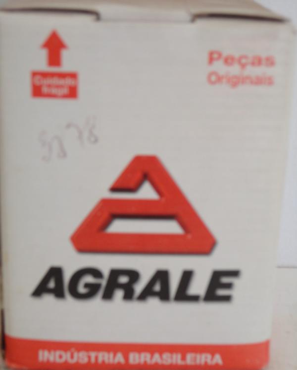 Pistao 0,25 M-80 Agrale